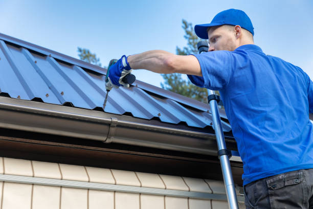 Best Sheet Metal Roofing  in Buffalo Grove, IL