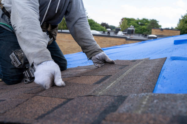 Best Green or Eco-Friendly Roofing Solutions  in Buffalo Grove, IL